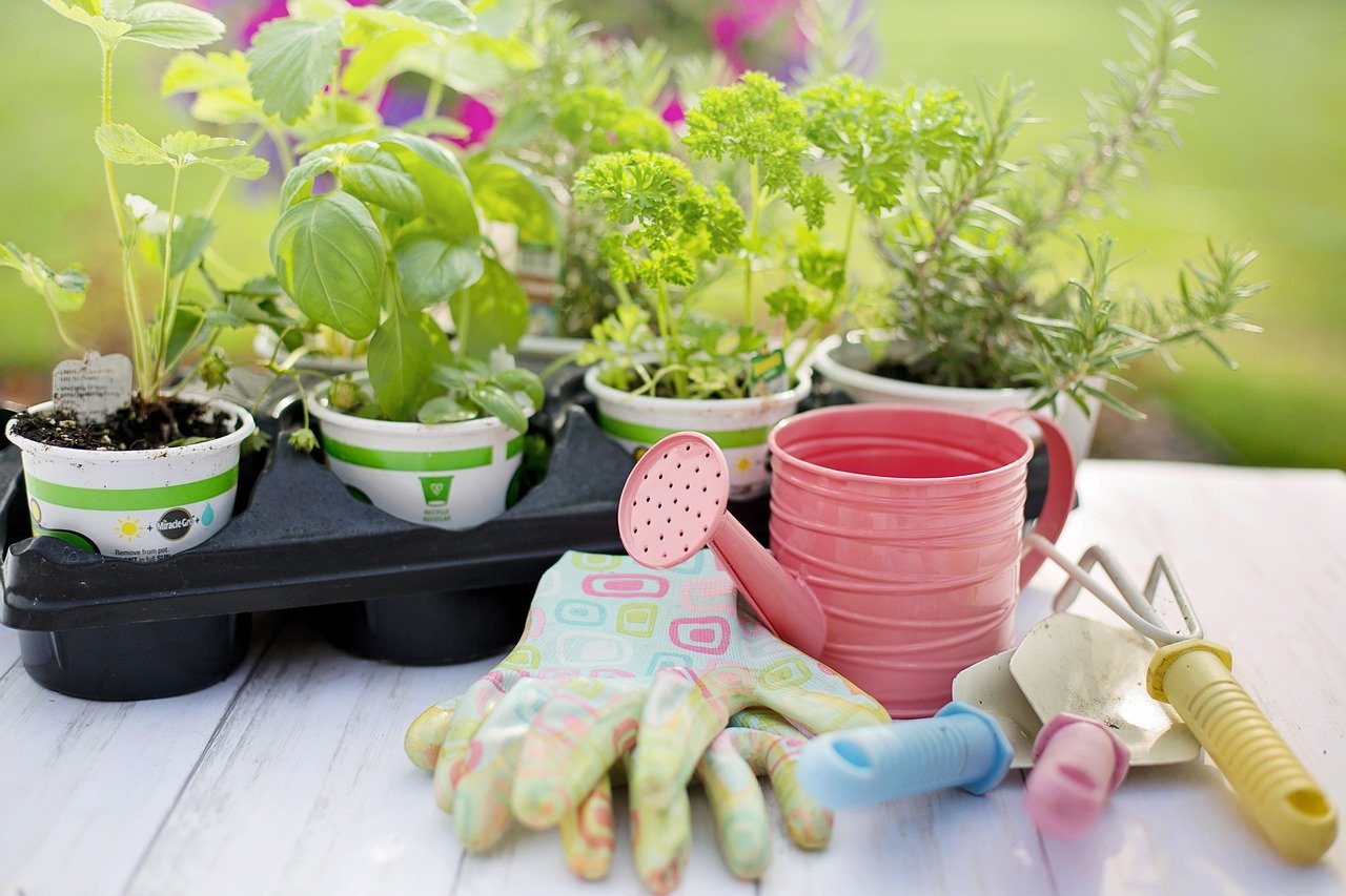 You are currently viewing How To Build And Maintain An Organic Vegetable Garden